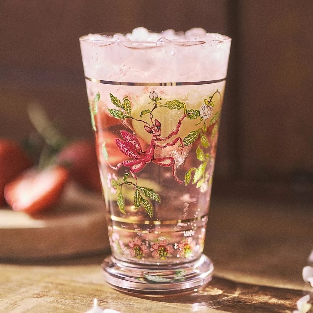 NWT Anthropologie Lou Rota Mother Nature Juice Glass